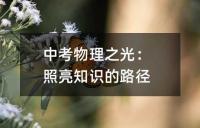 化学中的三重世界：中考化学知识点的深入探讨