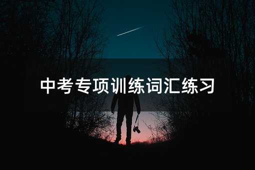 中考专项训练词汇练习