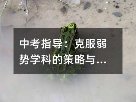 中考指导：克服弱势学科的策略与技巧